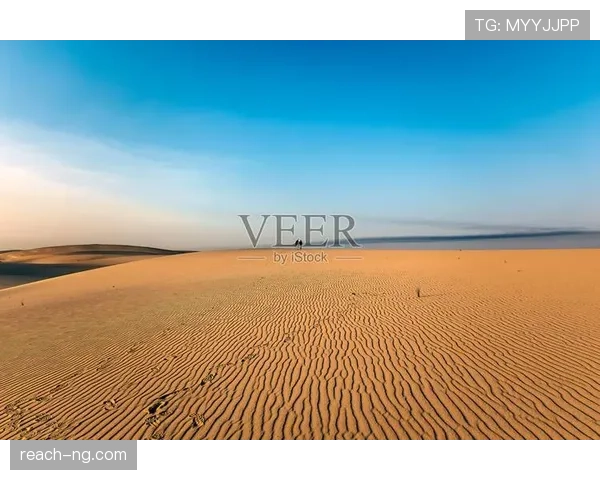 沙特队2026世界杯阵容预测：归化球员能否助沙漠绿鹰突破历史